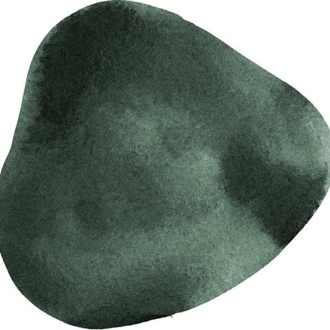 Preacher of the Phoenix