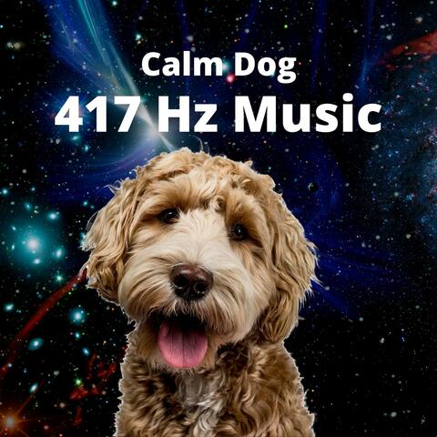 Calm Dog 417 Hz Music