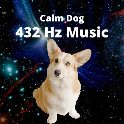 Calm Dog 432 Hz Music Jazz