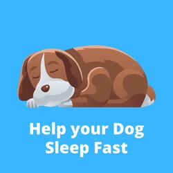 Relax with Your Dog