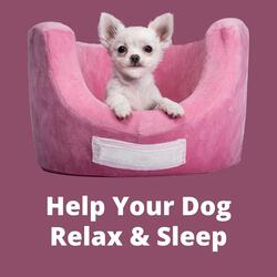 Dog Music for Fireworks and Loud Noises