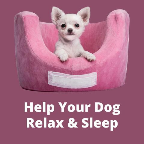 Help Your Dog Relax & Sleep
