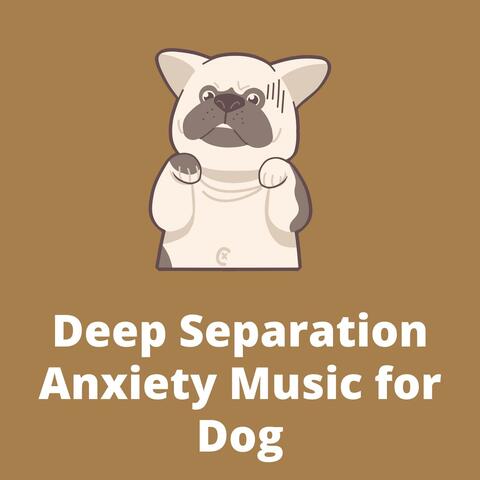 Deep Separation Anxiety Music for Dog Relaxation