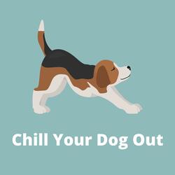 Calm Down a Dog