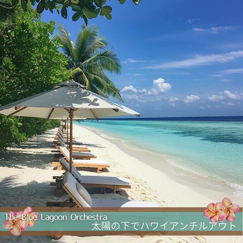 太陽の下でハワイアンチルアウト