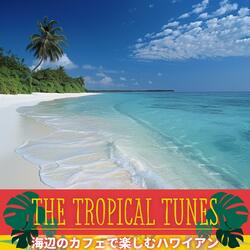 Beachside Morning Bliss