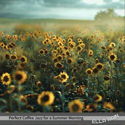 Harmonious Dawn Light