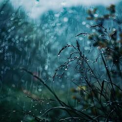 Dreams in calmness