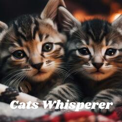Relaxing Feline Harmonies