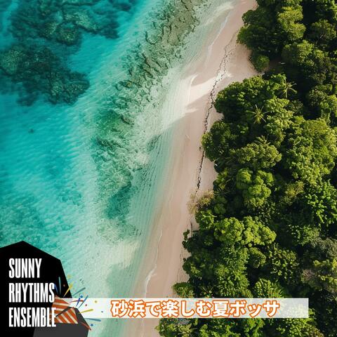砂浜で楽しむ夏ボッサ