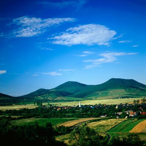 Red Mountain Nursery