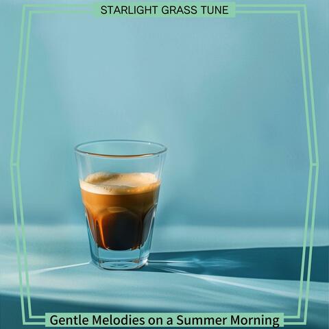 Gentle Melodies on a Summer Morning
