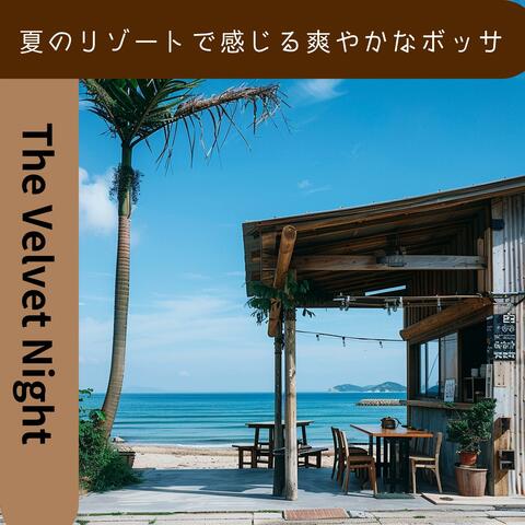 夏のリゾートで感じる爽やかなボッサ
