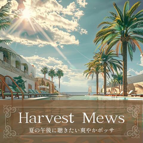 夏の午後に聴きたい爽やかボッサ