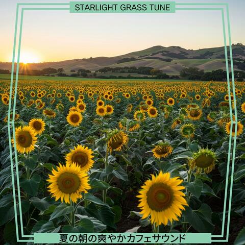 夏の朝の爽やかカフェサウンド