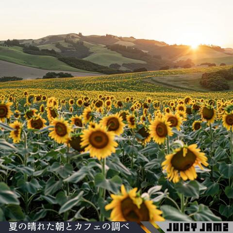 夏の晴れた朝とカフェの調べ