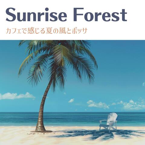 カフェで感じる夏の風とボッサ