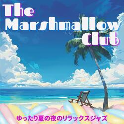 Tropical Afternoon Groove