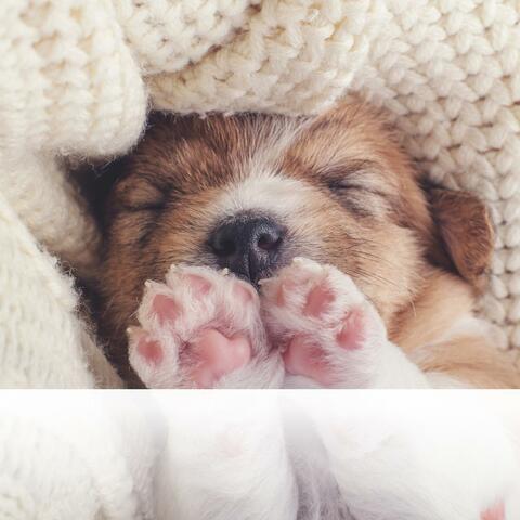 Celestial Drift Journey