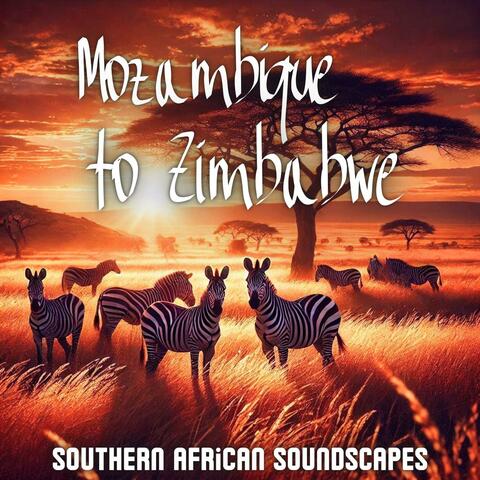 Mozambique to Zimbabwe: Southern African Soundscapes, Exotic Relaxing Music