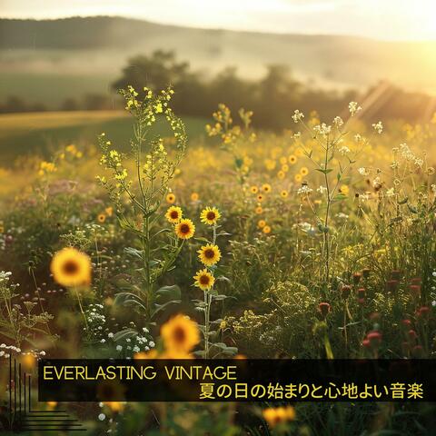 夏の日の始まりと心地よい音楽