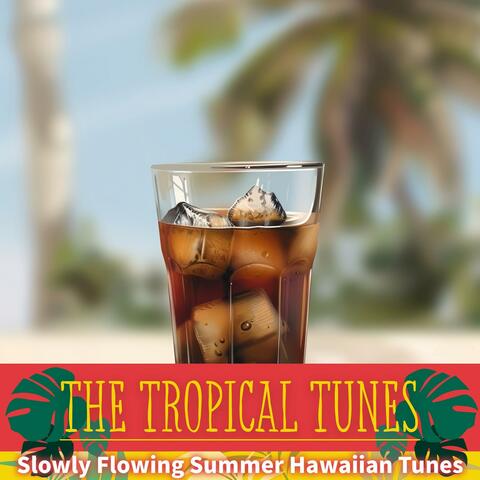 Slowly Flowing Summer Hawaiian Tunes