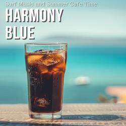 Driftwood Stories Unveil