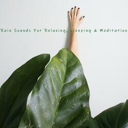 The Steady Fire and the Small Crackles