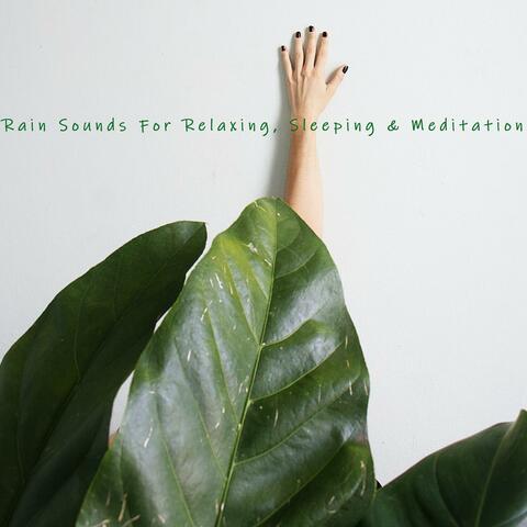 Rain Sounds for Relaxing, Sleeping & Meditation