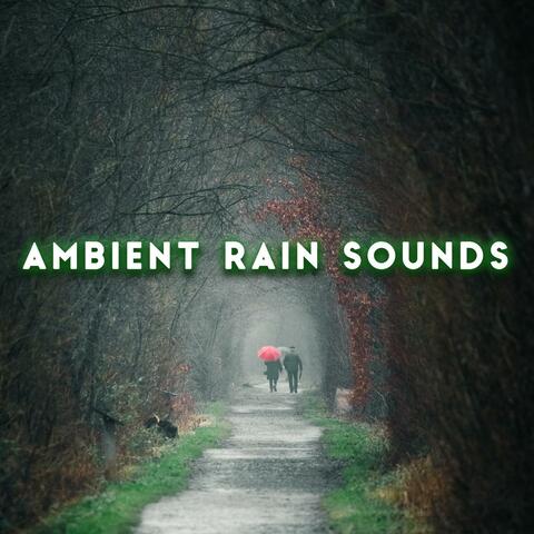 Ambient Rain Sounds - Relax, Meditate, Sleep & Focus