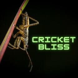 Symphony of Serene Cricket Harmonies