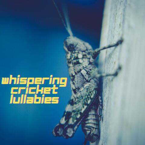 Whispering Cricket Lullabies: Soothing Sounds of the Night