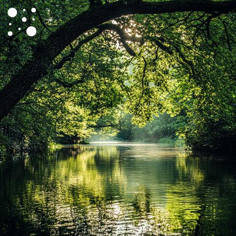 Woodland River Harmony