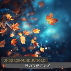 Moonlit Jazz in Maple Shade