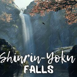 Release Falls Symphony