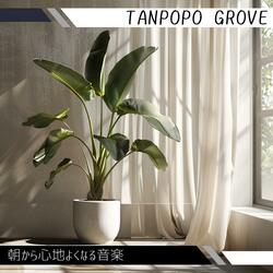 Daybreak Whisper Tunes