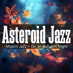 Gentle Starlit Serenades