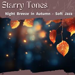 Jazz Dreams Serene Moonlight