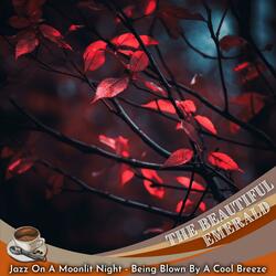 Stars Rest in Maple's Glow