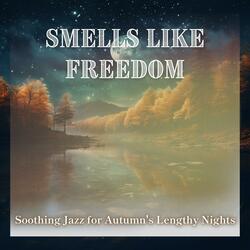 Mellow Night Melodies