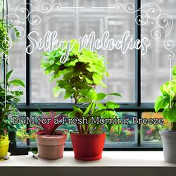 Dawn's First Light Groove