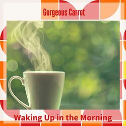 Early Light Solitude