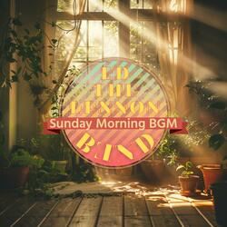 Sun-kissed Morning Calm