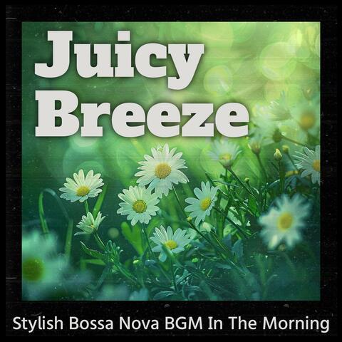 Stylish Bossa Nova Bgm in the Morning
