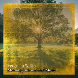 Fresh Beginnings with Gentle Melodies