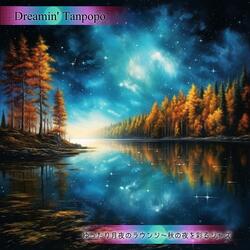 Moonlit Nighttime Notes