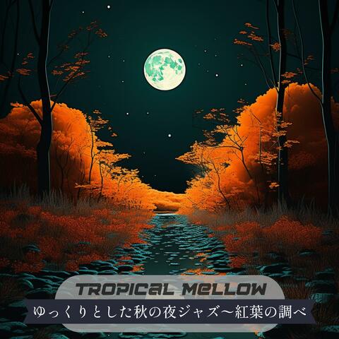 ゆっくりとした秋の夜ジャズ〜紅葉の調べ