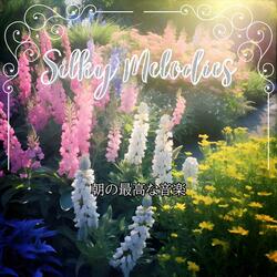 Soft Radiance Refrain