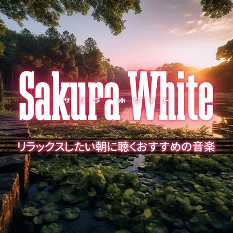 リラックスしたい朝に聴くおすすめの音楽