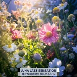 The Pianist's Siesta